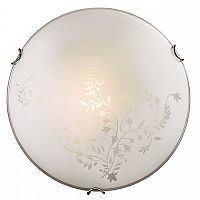 ���������� ��������-���������� Sonex Kusta 118/K ������ E27 2�60W 220V