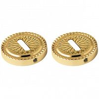 �������� ��� ���� Armadillo Normal PS/CL Gold-24