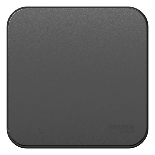  Schneider Electric Blanca BLNVA101016     