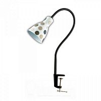 ���������� ����� � ������������ Odeon Light Pika 2595/1T ������������ E27 60W 220V