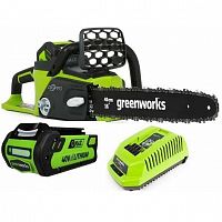 ���� ������ �������������� Greenworks GD40CS40K6