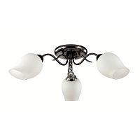 ������ ���������� Lumion Rondina 3076/3C ������ E27 3�60W 220V