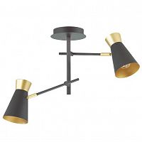 ������ ���������� Lumion Liam 3790/2C ������ � ������� E14 2�40W 220V