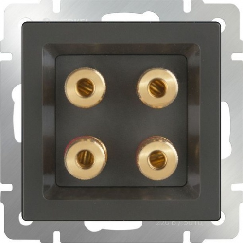    Werkel WL07-AUDIOx4 -