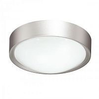 ���������� ��������-���������� Sonex Fasa 2029/A ����� LED 20W 220V