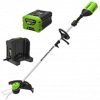 ������� �������������� Greenworks GD60LTK2 ����������� � ������������� 2�� � �������� �����������