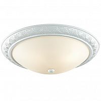 ���������� ��������-���������� Sonex Colt 4306 ����� E27 3�60W 220V