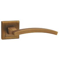 ����� ������� Punto Navy QL CF-17