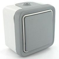    Legrand Plexo IP55     69711