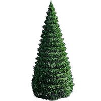 ��� ��������� ������� Green Trees ��������� 800 ��