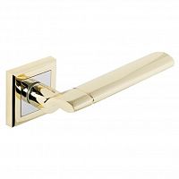 ����� ������� Palladium � Oscar GP