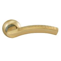 ����� ������� Palladium � Bruno-M SG/GP