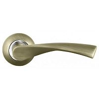 ����� ������� Palladium � Swim Coffee