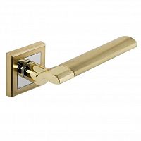 ����� ������� Palladium � Oscar SG