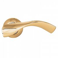 ����� ������� Palladium Fiesta GP