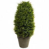 ������ ������������� Nobilis Marco � ����� D30��66 ��