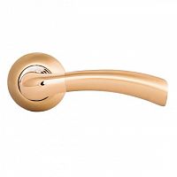 ����� ������� Palladium � Brezza GP/SG