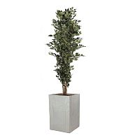 ������ ������������� Nobilis Marco ����� H230 ��