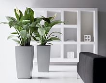 ����� Lechuza Cubico Silver 40x40xH75 ��