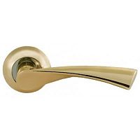 ����� ������� Palladium � Swim GP