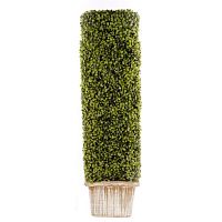 ������ ������������� Nobilis Marco � ����� 27x27xH95 ��