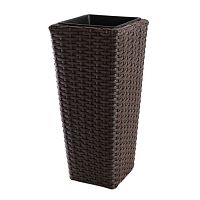 ����� Nobilis Marco Brown 24�50 ��