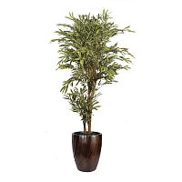 ������ ������������� Nobilis Marco ����� H175 ��