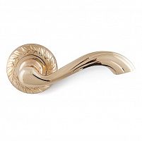 ����� ������� Palladium Luna GP