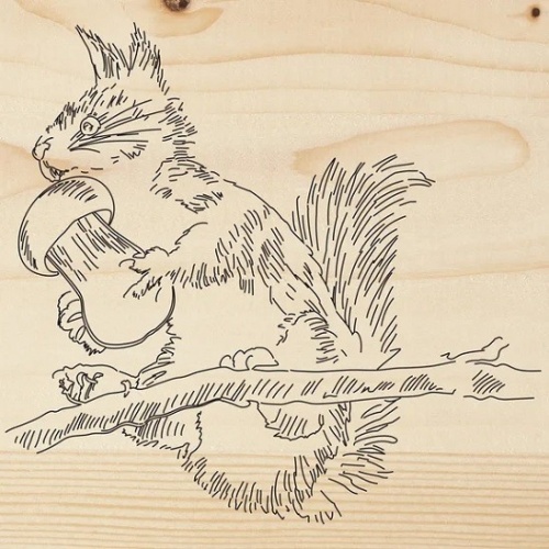 ����� ��� ��������� Rexant �����