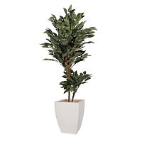 ������ ������������� Nobilis Marco ��������� ������ H175 ��