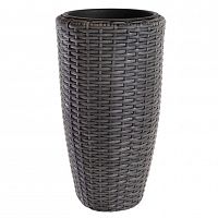 ����� Nobilis Marco Grey 30�H55 ��
