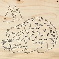 ����� ��� ��������� Rexant ����