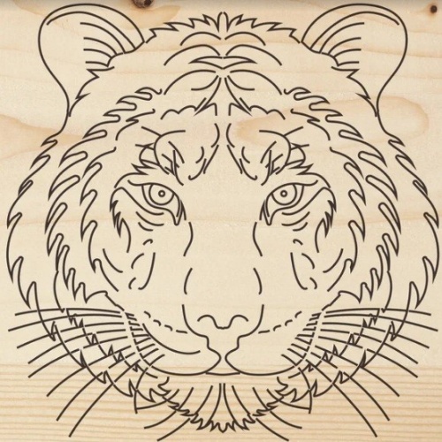 ����� ��� ��������� Rexant ����