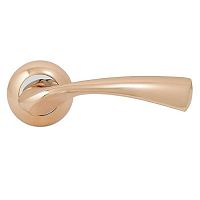 ����� ������� Palladium � Bella GP