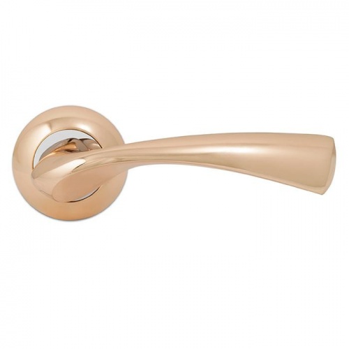 ����� ������� Palladium � Bella GP