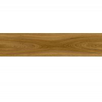 ������ ��������� Moduleo Transform Wood 24866 Classic Oak