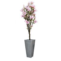 ������ ������������� Nobilis Marco �������� H158 ��