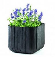 ����� ��� ������ Keter Cube Planter M 395�395�395 �� ��������