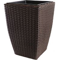 ����� Nobilis Marco Brown 40�H55 ��