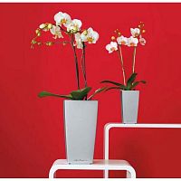 ����� Lechuza Cubico Silver 30x30xH56 ��