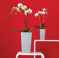 ����� Lechuza Cubico Silver 22x22xH41 ��