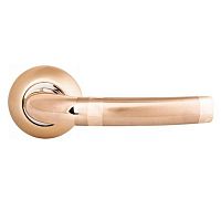 ����� ������� Palladium � Anima GP/SG