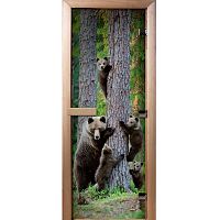 ����� ��� ����� ���������� Doorwood ���������� A064 800�2000 ��