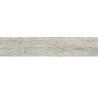 ������ ��������� Moduleo Transform 24142 Latin Pine