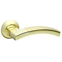 ����� ������� Fuaro Accord RM SG/GP-4