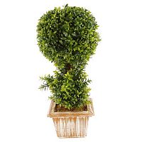 ������ ������������� Nobilis Marco � ����� D30xH95 ��