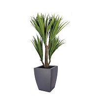 ������ ������������� Nobilis Marco ������� H162 ��