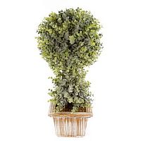 ������ ������������� Nobilis Marco � ����� D35xH95 ��