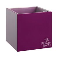 ����� Nobilis Marco Cubic Violet 21�21�21 ��