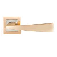 ����� ������� Palladium � Lazio SG